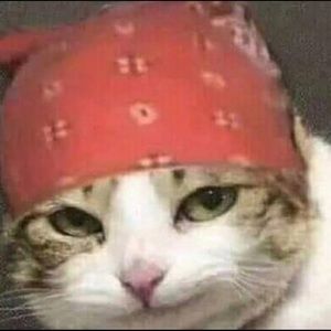 Meet your Posher, Jillian